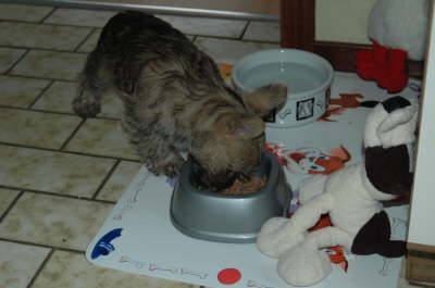 Das schmeckt sch�n!!