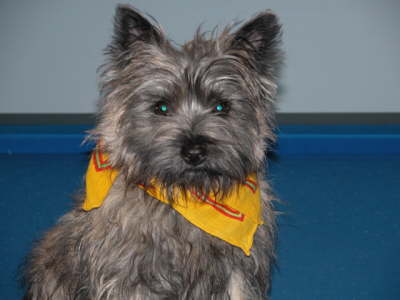 Triene will ausgeh�n