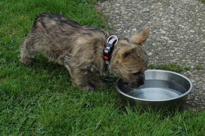 Wat�n Schwimmbecken